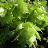 1208F 120 Neckar-Radweg